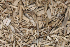 biomass boilers Lilybank